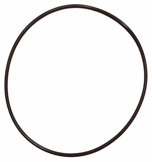 O'RING,VALVE BODY VITON; 3"